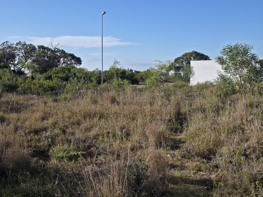 0 Bedroom Property for Sale in Wavecrest Eastern Cape